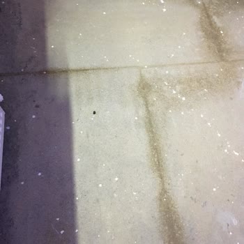 Türkiye Sigorta Konut Poliçesi İptali