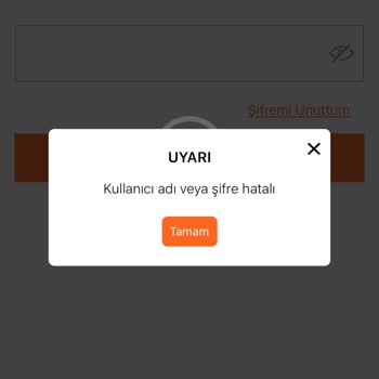 FLO Ayakkabı FLO Hesabıma Giriş Yapamıyorum