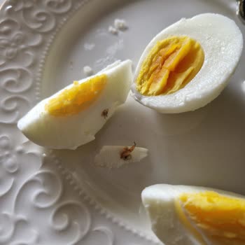 Tarım Kredi Kooperatif Market Tarım Kredi Organik Yumurta Şikayeti