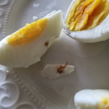 Tarım Kredi Kooperatif Market Tarım Kredi Organik Yumurta Şikayeti