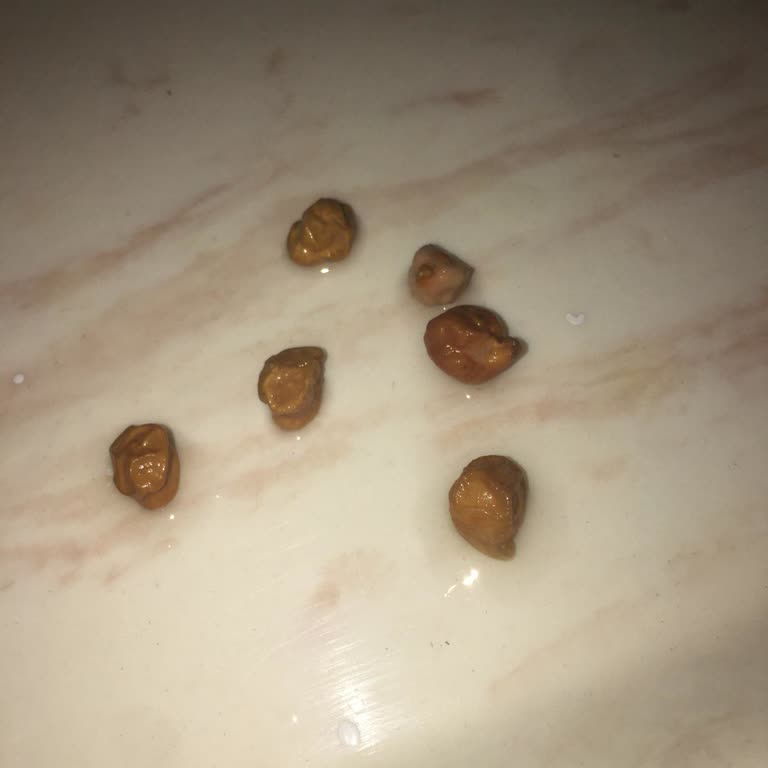 Tarım Kredi Kooperatifi Çürük Nohut Skandalı