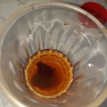 Lipton İce Tea Bozuk Ürün Satıyor