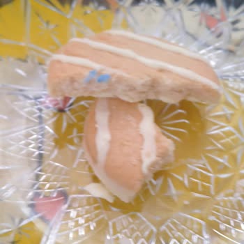 Ülker Hanımeller Limonlu Kurabiyeden Çıkan Yabancı Mavi Cisim
