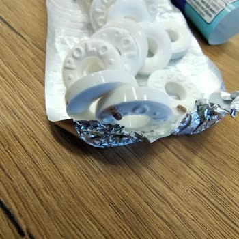 Nestle Polo Şekerden Böcek Çıkması