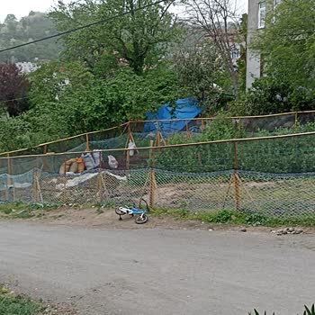 Çevre, Şehircilik Ve İklim Değişikliği Bakanlığı Hayvan Kokusundan Duruluyor