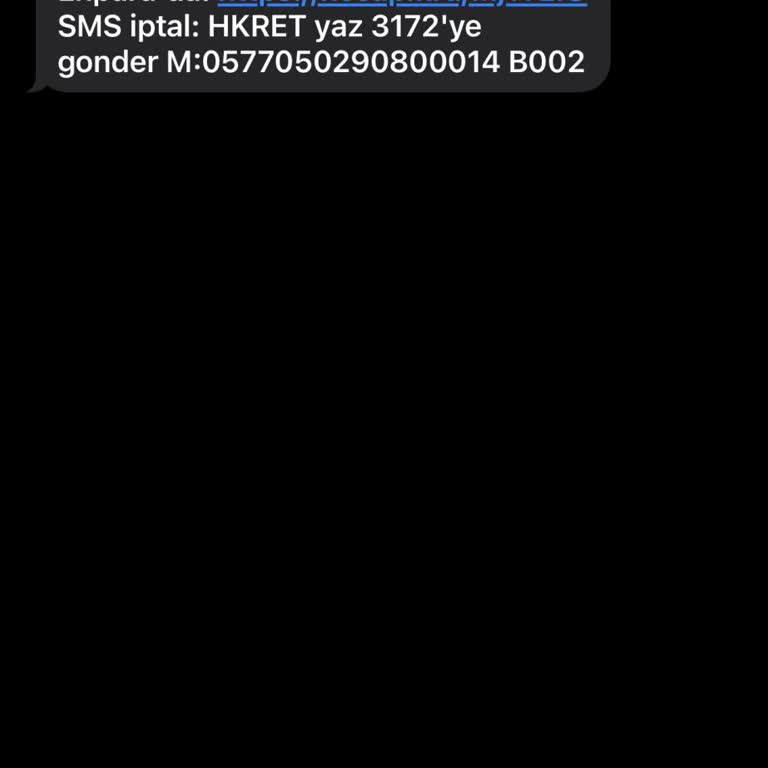 Hesapkurdu Gelen SMS