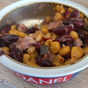 Dardanel Ton Balığından Taş Çıktı