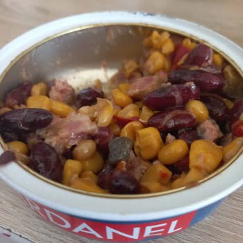 Dardanel Ton Balığından Taş Çıktı