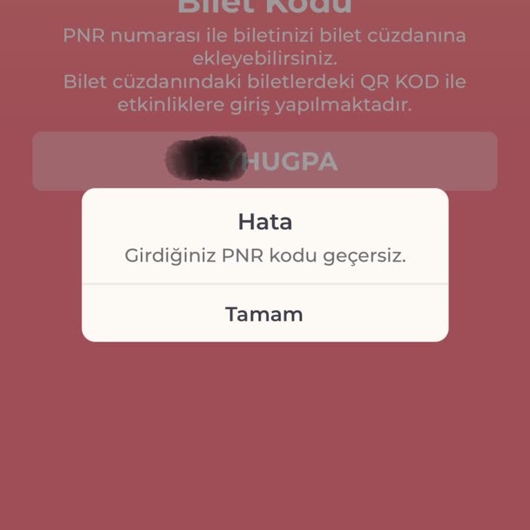 Milyon Bilet Bilet İçin Verilen PNR Geçersiz