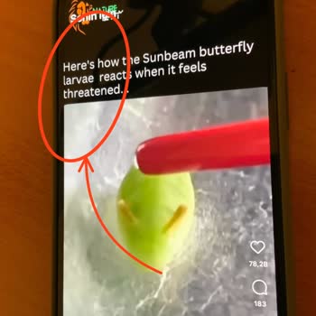 Spigen İphone 15 Plus İçin Hatalı Ekran Koruyucu