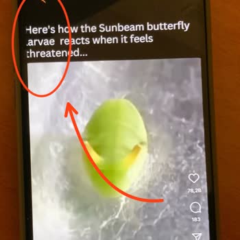 Spigen İphone 15 Plus İçin Hatalı Ekran Koruyucu