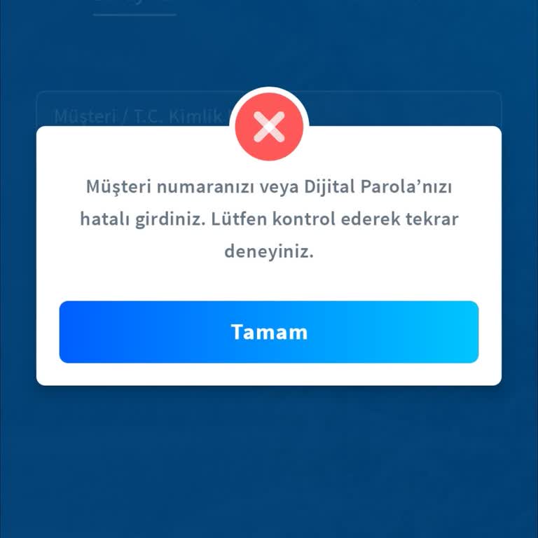 Halkbank İnternet Bankacılığı Sorunsalı