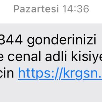 Pierre Cardin Giyim Pierre Cardin T-shirt Kabarması