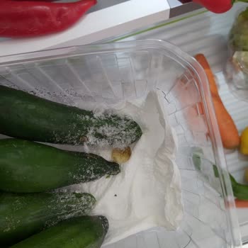 Bosch Buzdolabı Dondurma Sorunu