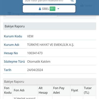 Türkiye Hayat Emeklilik Otomatik BES İptal