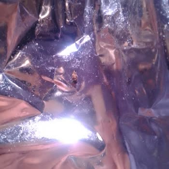 Lays Cips Paketi İçinden Kurt/sinek Çıktı