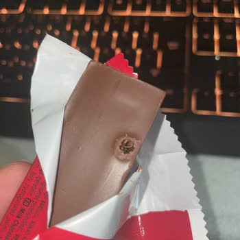 Ülker Dido İçerisinde Kurt