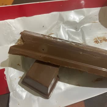 Ülker Dido İçerisinde Kurt