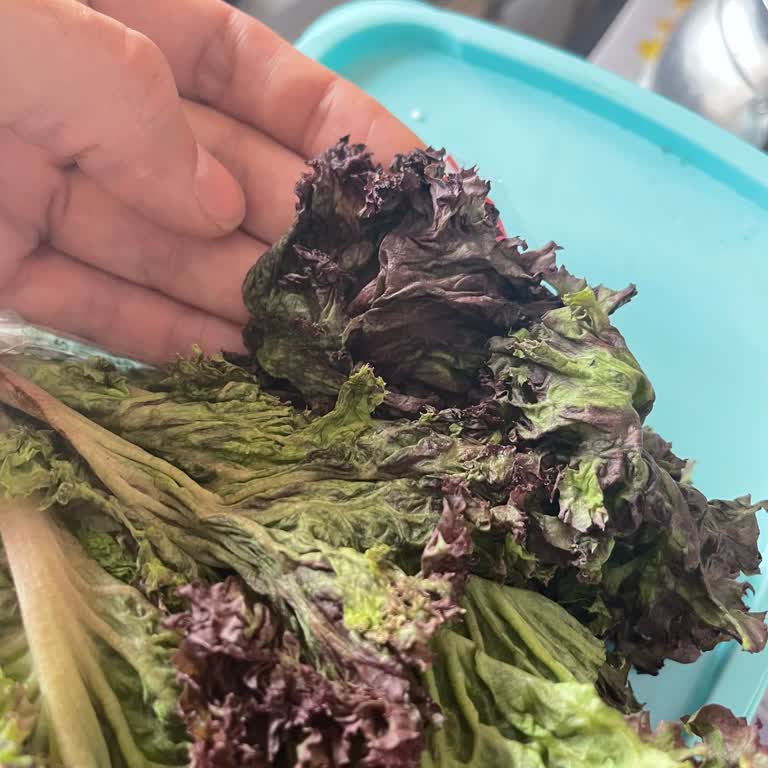 Getir Büyük Pişmanlık. Tam 6 Saat Değişim İçin Beklettiniz.