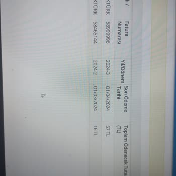 Palgaz Fazla Fatura Kesilmesi