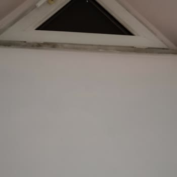 KYK Odamızda Böcek Var