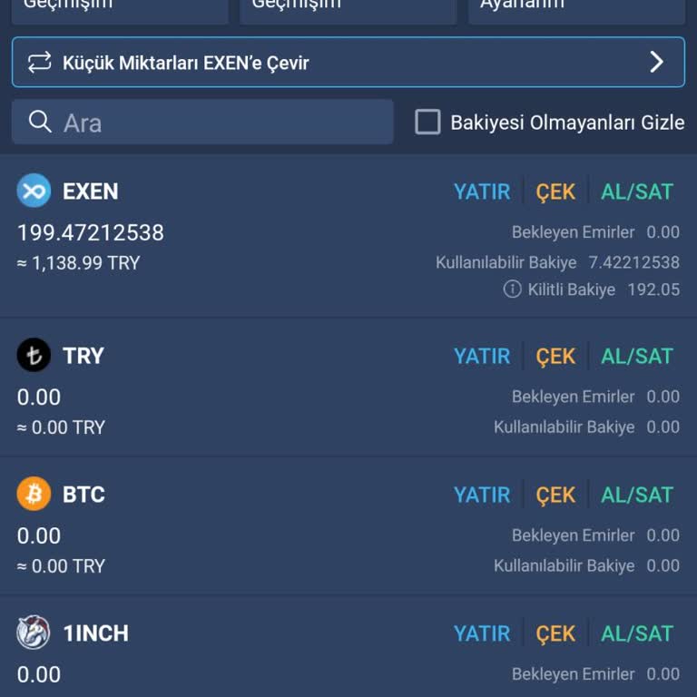 Bitexen Bakiye Kilitli Kalma