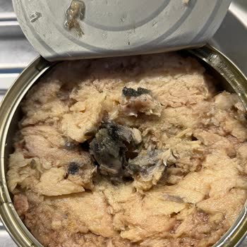 File Market Bozuk Ürünün Raflarda Olması