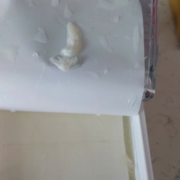 Ekici Peynir Ekici Küflü Peynir