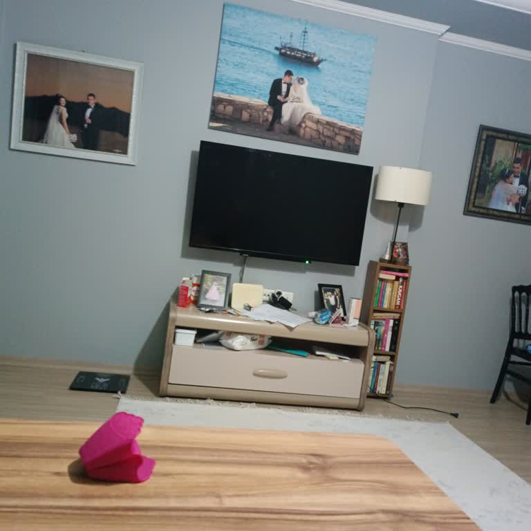 Toshiba TV Ekran Kararması Ve Donma Kalitesiz Kumanda