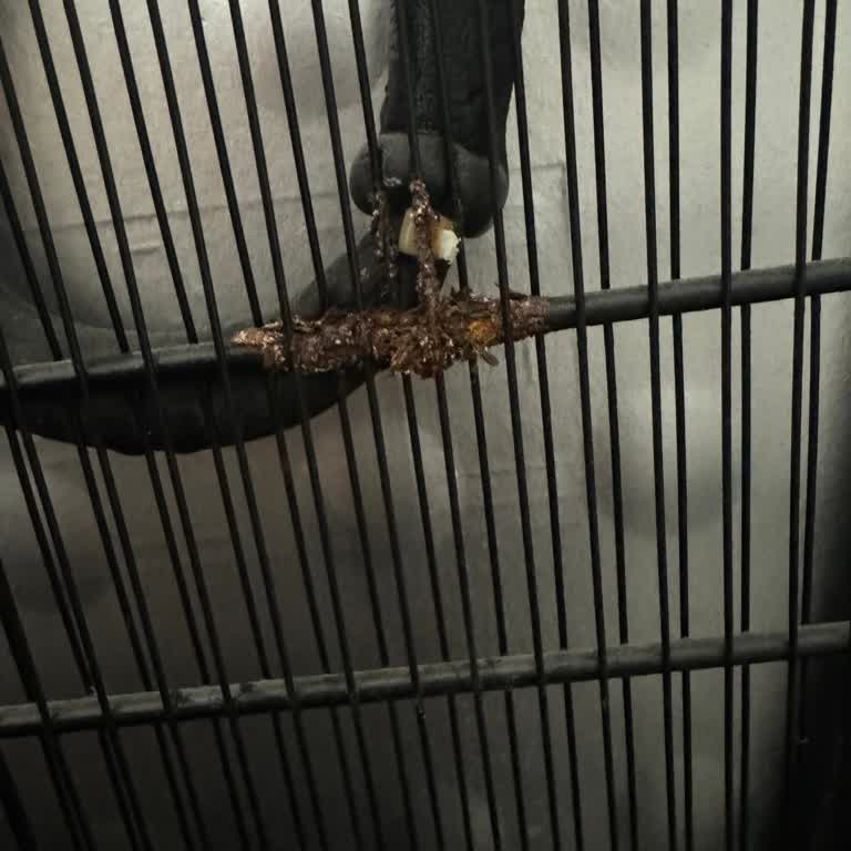 İlhanlar Home Den Beko Aldım 😞