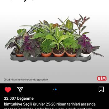 BİM'de Erken Biten Stoklar Ve Müşteri Hayal Kırıklığı