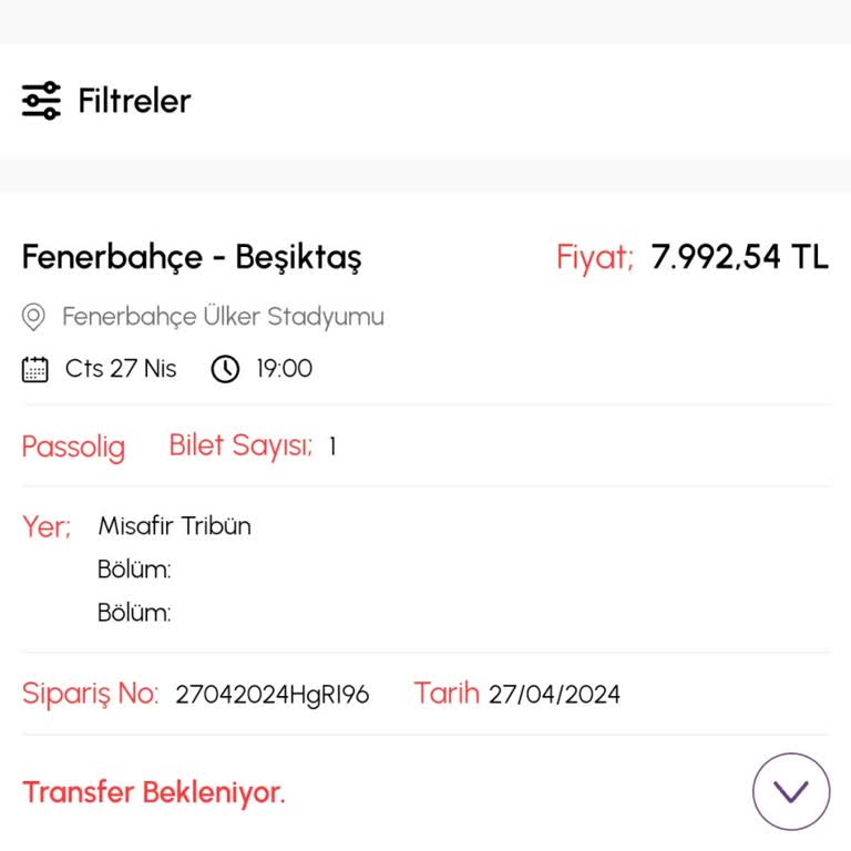 Biletalsat.com Misafir Tribün Bileti Yüklenme Sorunu Ve Seyahat Endişesi