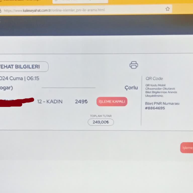 Kale Seyahat E Fatura Görüntülenememesi