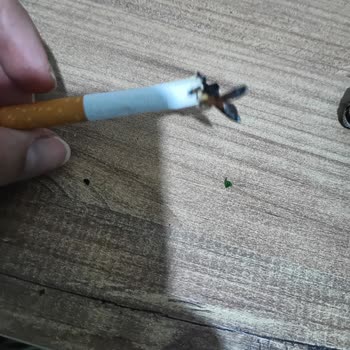 Philip Morris L&M Red Label' Da Büyük Tütün Parçaları