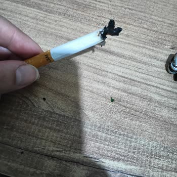 Philip Morris L&M Red Label' Da Büyük Tütün Parçaları