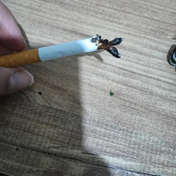 Philip Morris L&M Red Label' Da Büyük Tütün Parçaları