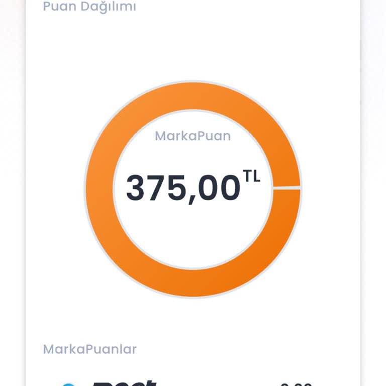 Koçtaş Marka Puanımı Kullanamıyorum