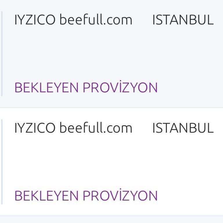 Beefull Enerji Teknolojileri Beefull Hesabımdan Fazla Para Çekti