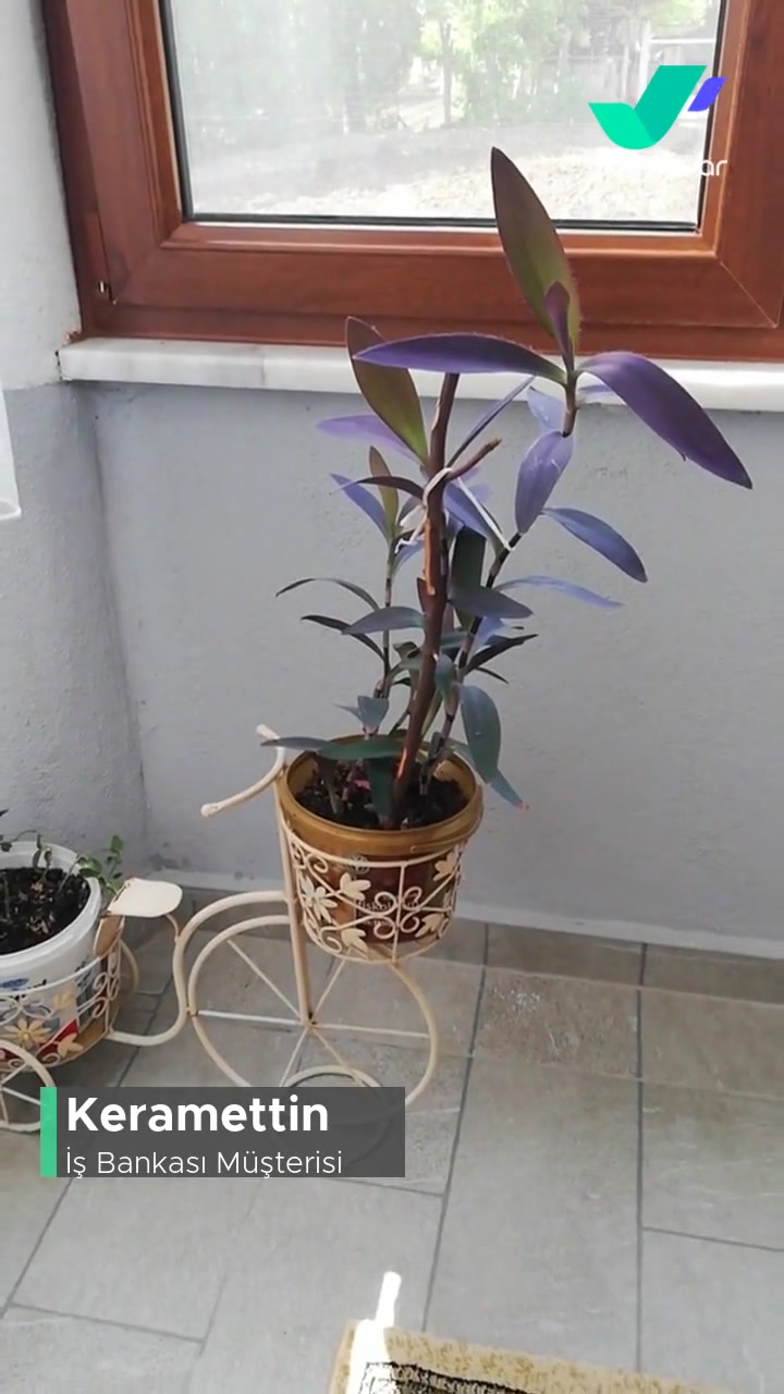 İş Bankası Emekli Promosyonu Eksikliği videonun kapak resmi