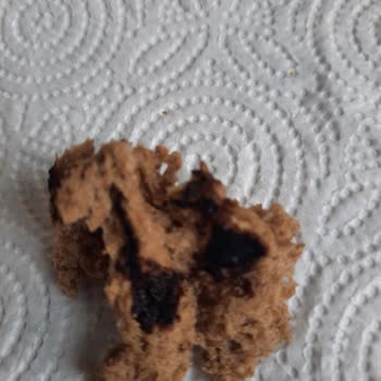 Migros Sahte Ekmek Satışı