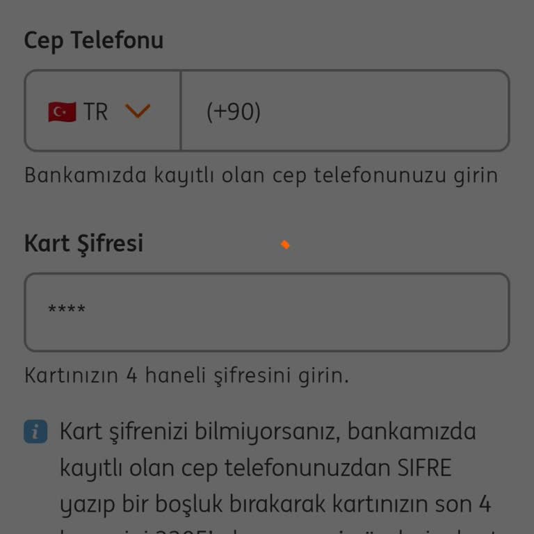 ING Bank Giriş Sorunu