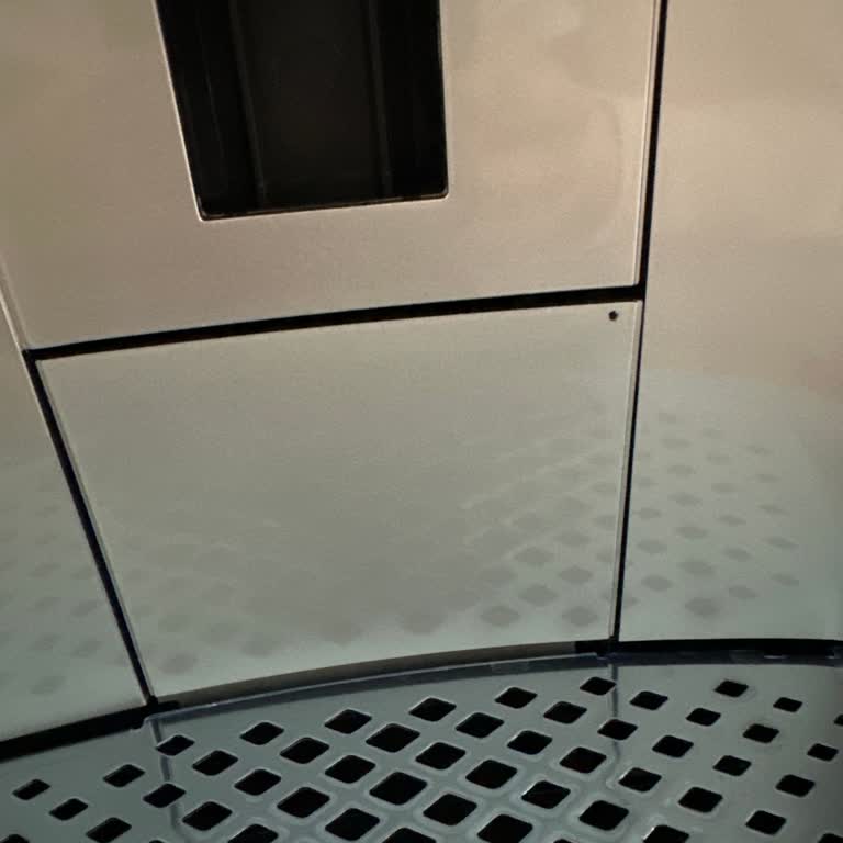 PHILIPS Latte GO Renk Atması