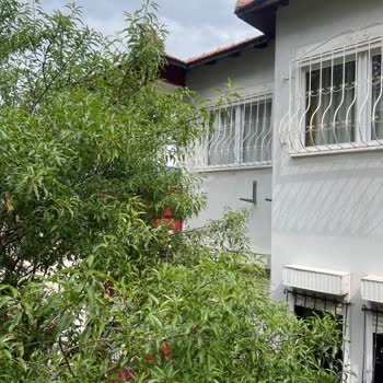 Baymak Ve Baymak Servisleri Pişmanlıktır.