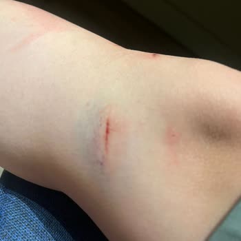 Orange County Kemer Orange County Şikayet