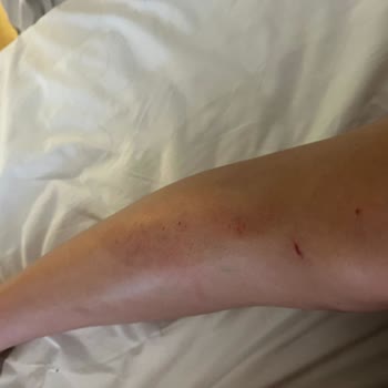 Orange County Kemer Orange County Şikayet