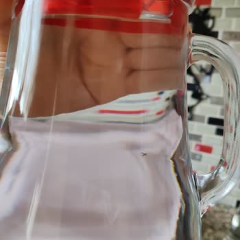 Hamidiye Suyun İçinden Çıkan Sinek...