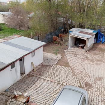 Çevre, Şehircilik Ve İklim Değişikliği Bakanlığı Sivas Kangal Gürsem Mahallesi Koku Sorunu