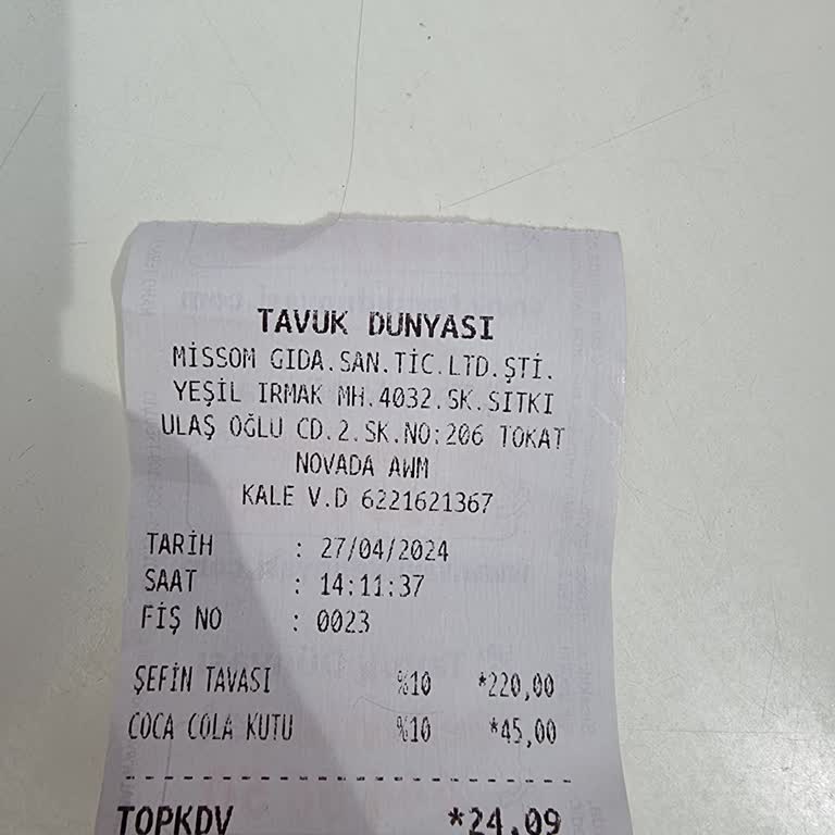 Tavuk Dünyası Çığ Tavuk Gelmesi