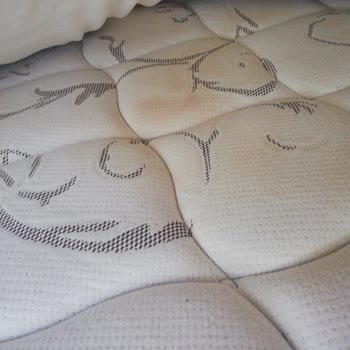 Minteks Alezin Kötü Olması