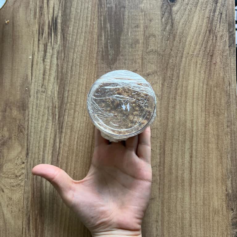 Bowl & More Bowl&More Markasından Bir Daha Asla Sipariş Vermeyeceğim.